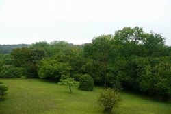 agence nesles-la-vallée